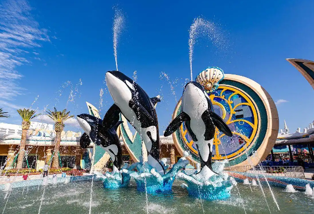 虎鲸母子和 12 只海豚被困废弃海洋公园 虎鲸母子和 12 只海豚被困废弃海洋公园