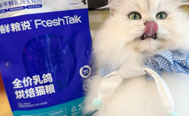 挑食怪变干饭猫？全靠鲜粮说乳鸽烘焙猫粮！