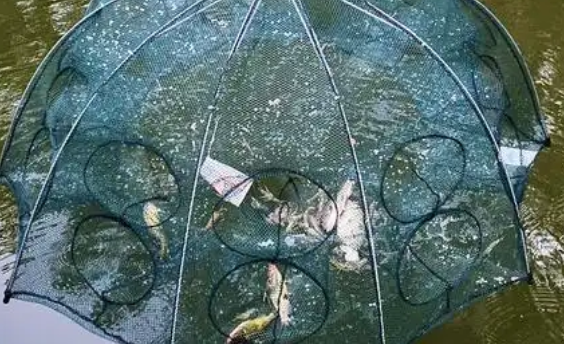 龙虾网哪里有卖的