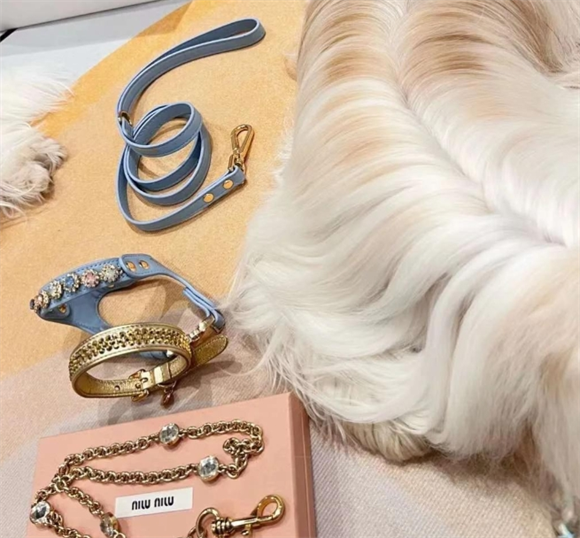 miumiu/ARKIKA狗狗牵引绳选购指南