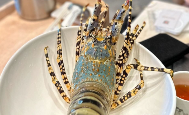 花龙虾多少钱一只