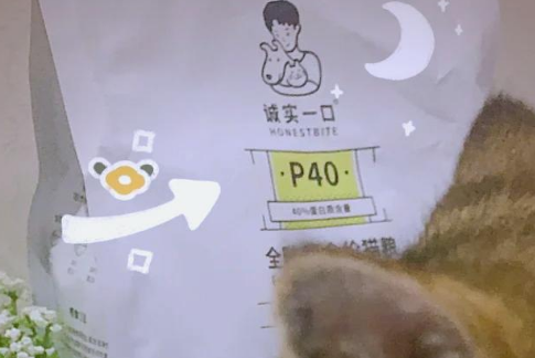 诚实一口猫粮：国产猫粮的骄傲！