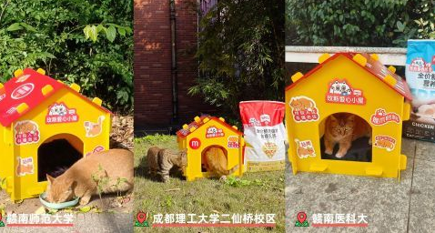 玫斯METZ |携手155高校流浪猫救助社团,助力流浪猫温暖过冬! 玫斯METZ |携手155高校流浪猫救助社团,助力流浪猫温暖过冬!