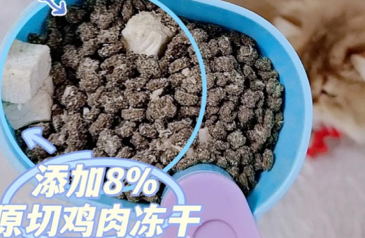 鲜粮说体验：猫咪超爱！