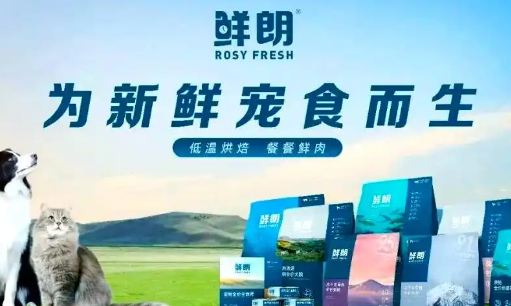 鲜朗品牌的创新与成就！