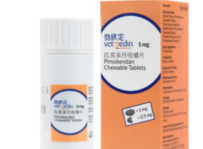 勃欣定宠物药中国上市六周年，守护百万犬只心脏健康