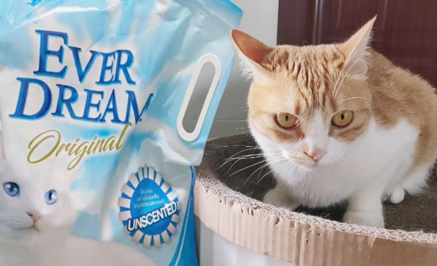 蓝梦猫砂好不好 蓝梦猫砂好不好