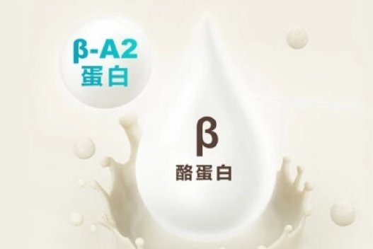 卫仕犬用A2全护配方羊奶粉：呵护宠物健康成长