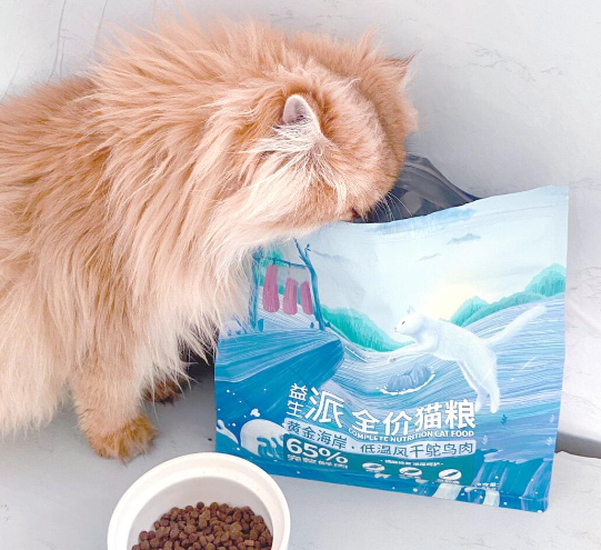 猫咪美食推荐：靓贝益生派猫粮来啦！
