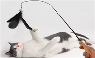 瀚辰宠物用品——猫玩具逗猫棒