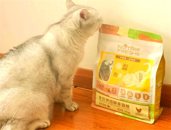 纯皓猫粮：猫咪的“王者”之选