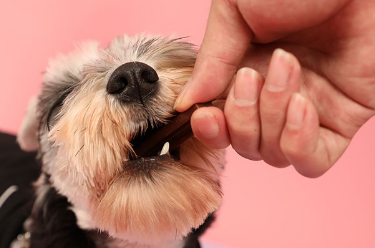 冠邦零食推荐——犬用健齿棒！推荐