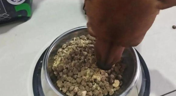 给狗狗的贴心安排：鲜粮说产品体验分享