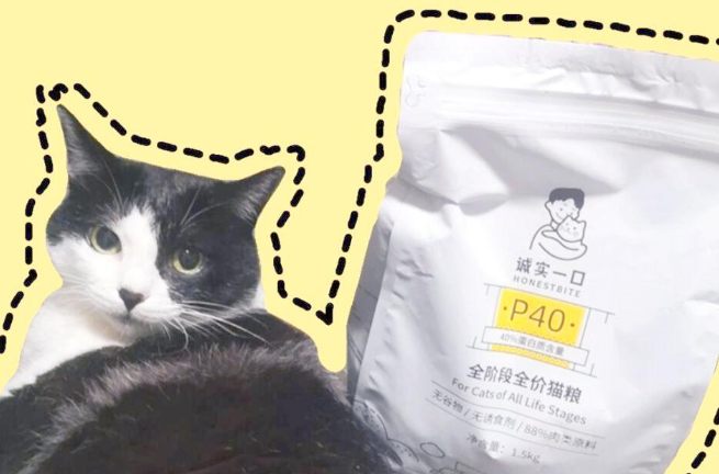 国产猫粮推荐：诚实一口，高蛋白又健康！