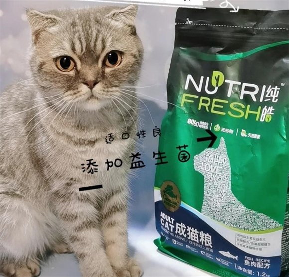 纯皓烘焙猫粮:猫咪的“绝绝子”美食体验 纯皓烘焙猫粮:猫咪的“绝绝子”美食体验