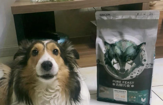 信元发育宝宠物产品，钙胃能与整肠配方