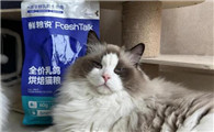 鲜粮说猫粮：真能长肉吗？