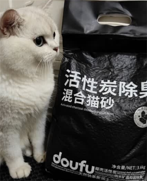 养猫省钱攻略!Doufu 猫砂如何用亲民价实现品质越级? 养猫省钱攻略!Doufu 猫砂如何用亲民价实现品质越级?