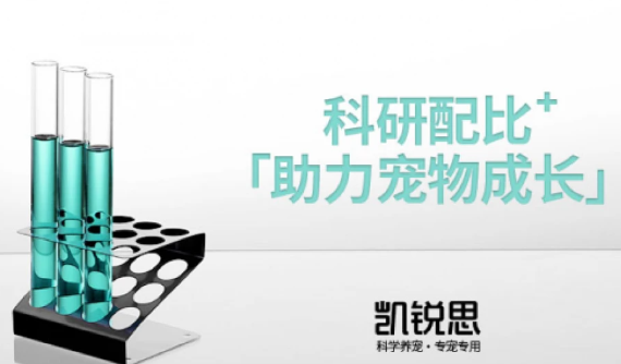 告别毛发干枯！凯锐思博美犬粮以三重黄金配比重塑健康被毛