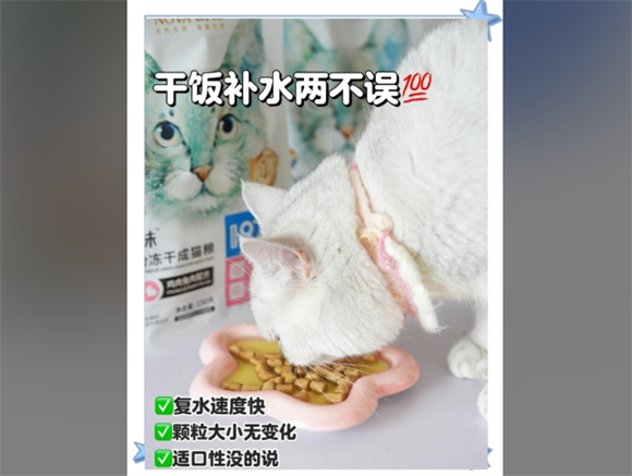 朗诺和地狱厨房猫粮哪个更适合家用?深度解析与选择推荐 朗诺和地狱厨房猫粮哪个更适合家用?深度解析与选择推荐