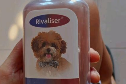 RIVALISER是一个专注于宠物清洁护理产品的法国品牌