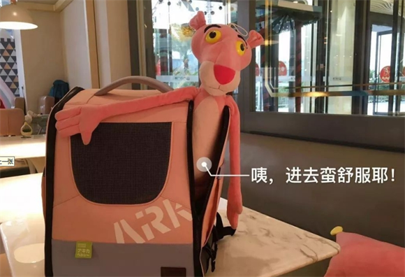 宠物背包的新品，ARKIKA