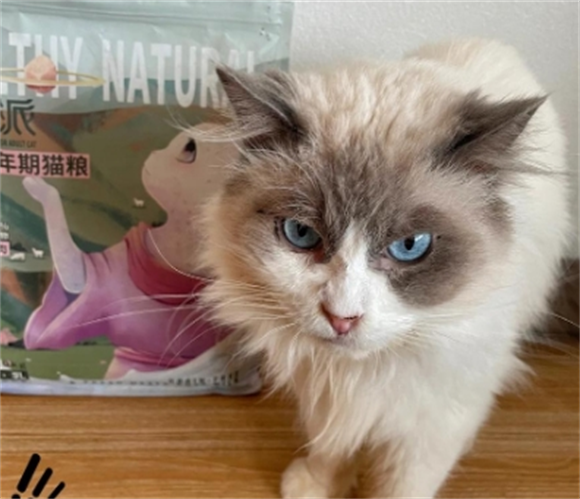 感猫咪福音:靓贝益生派猫粮推荐 感猫咪福音:靓贝益生派猫粮推荐
