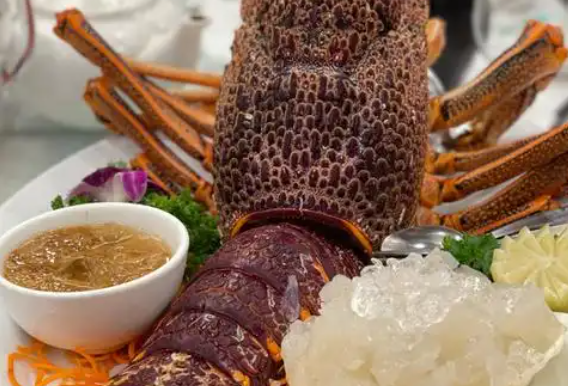 澳洲淡水龙虾怎么养 澳洲淡水龙虾怎么养
