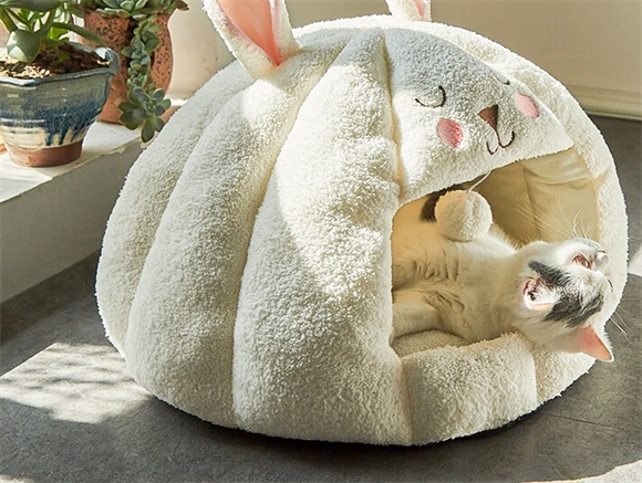 汤琪猫窝和猫砂盆能放一起吗 汤琪猫窝和猫砂盆能放一起吗