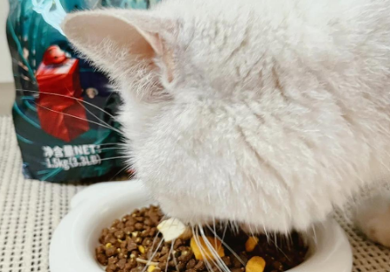 猫咪必备！K9猫粮解析！