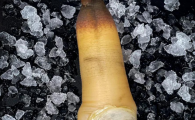 象拔蚌一只大概多重