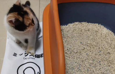 慕奥猫砂多少钱 慕奥猫砂多少钱