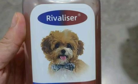 RIVALISER宠物品牌用户评价与反馈
