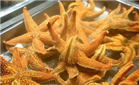 海星怎么吃吃哪里
