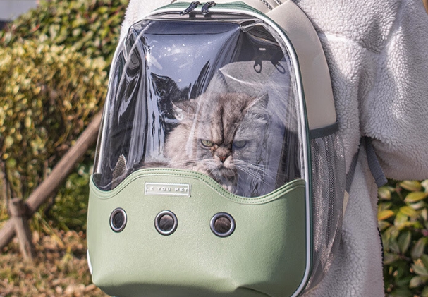 乐优派猫包可以带上地铁吗