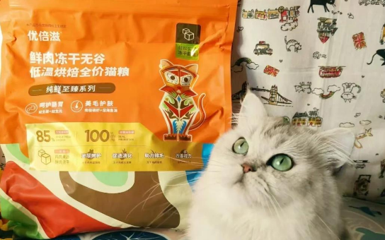 优倍滋猫粮,让猫咪健康地成长! 优倍滋猫粮,让猫咪健康地成长!