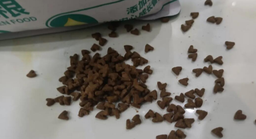 怡亲猫粮:宠物营养之选,天然优质品牌保障! 怡亲猫粮:宠物营养之选,天然优质品牌保障!