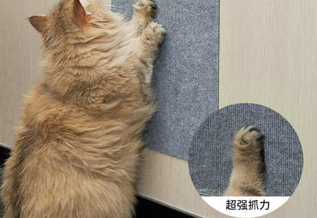 TaTanice猫抓板可以代替剪指甲吗 TaTanice猫抓板可以代替剪指甲吗