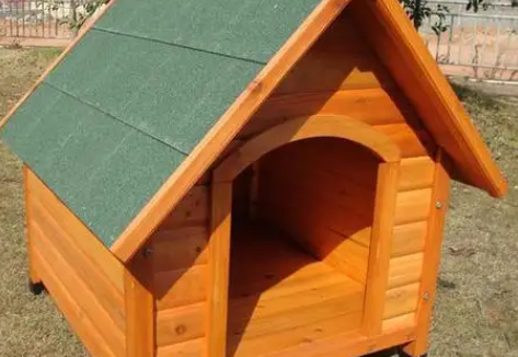 PETSTAR狗窝多久洗一次 PETSTAR狗窝多久洗一次