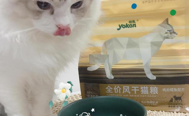 怡亲鸡肉鳕鱼风干猫粮评测:高肉量低敏选择 怡亲鸡肉鳕鱼风干猫粮评测:高肉量低敏选择