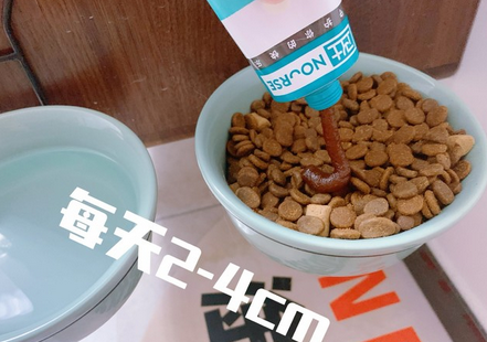 卫仕营养膏，宠物健康的忠诚卫士