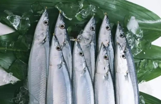 青占鱼是不是秋刀鱼 青占鱼是不是秋刀鱼