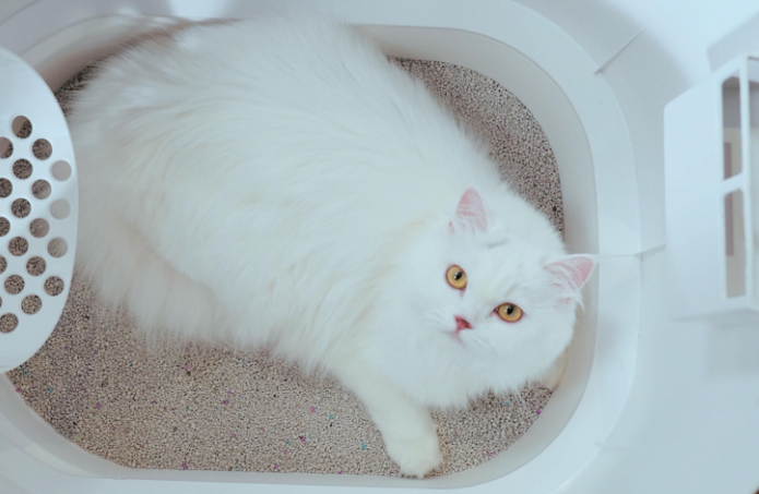 九易猫砂盆怎么清理