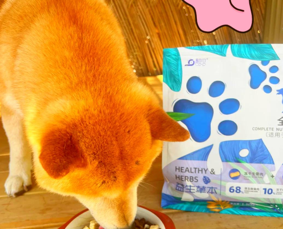 国产冻干狗粮测评：靓贝益生草本冻干犬粮