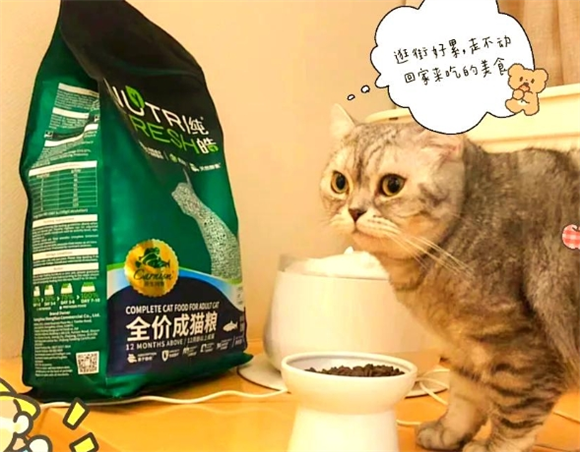 纯皓全价猫粮:国产高端选择,猫咪健康必备 纯皓全价猫粮:国产高端选择,猫咪健康必备