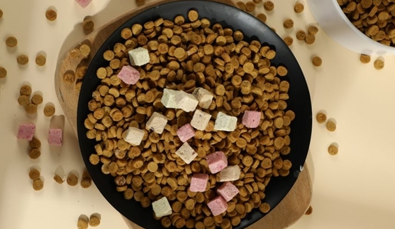 优倍滋猫粮:肠胃脆弱猫咪的守护神! 优倍滋猫粮:肠胃脆弱猫咪的守护神!