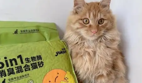 怡享扑扑猫砂好用吗