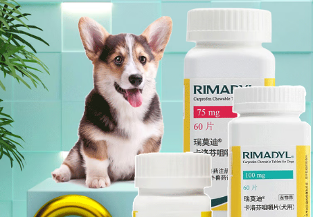 瑞莫迪犬用止痛片中国上市五周年，用止助力超2600万只犬只缓解疼痛