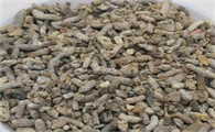 麻雀屎是中药吗