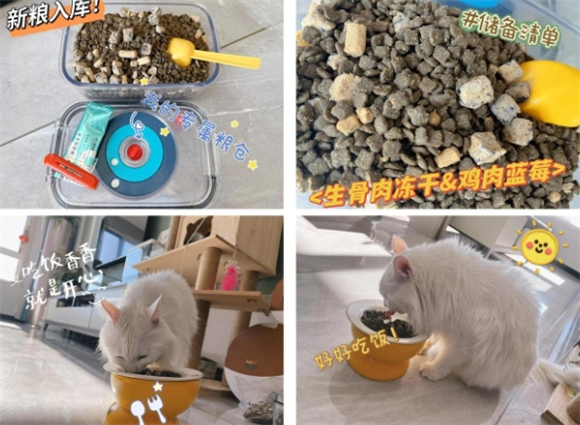 畅享优品猫粮：六种肉的美味盛宴